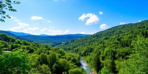 Peisaj natural cu păduri verzi și un râu limpede.