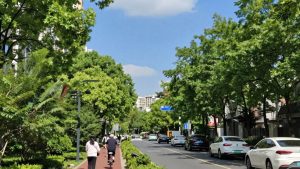 Oraș verde cu copaci, biciclete și aer curat.
